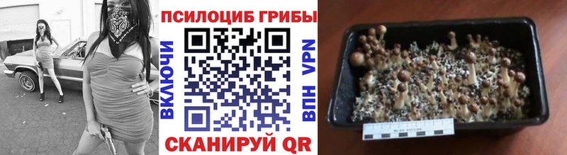 Галлюциногенные грибы мухоморы  сайты даркнета формула  Горячий Ключ 